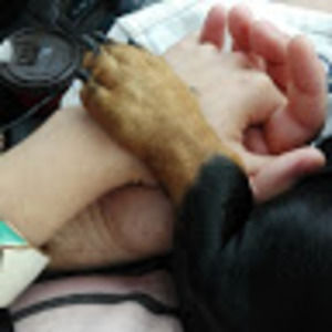 Meet your Posher, Daniela